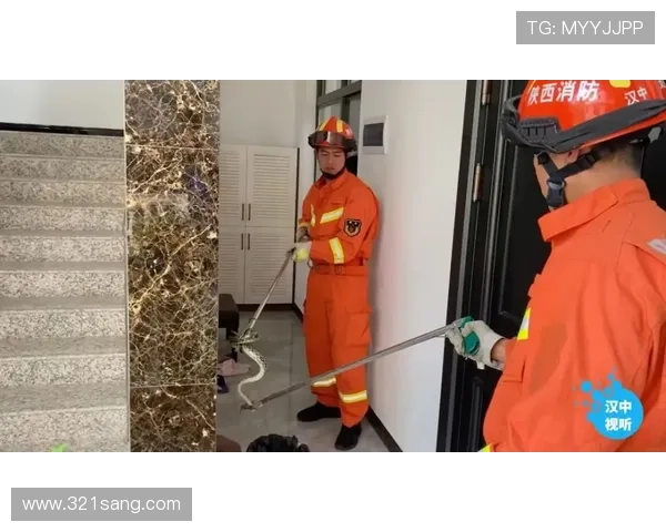 k8体育平台app安全保障措施解析，确保用户个人信息与资金安全无忧