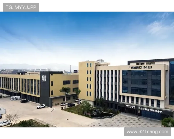 凯发集团怎么样：技术创新与产品研发能力的详细介绍