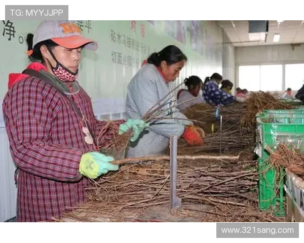 多赢真人平台的安全保障措施，确保玩家资金和信息安全实现多方共赢