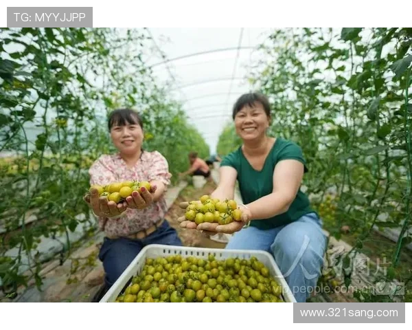 ag捕鱼王官网入口最新登录指南帮助玩家顺利进入游戏体验精彩捕鱼乐趣 ag捕鱼王官网入口最新登录指南帮助玩家顺利进入游戏体验精彩捕鱼乐趣